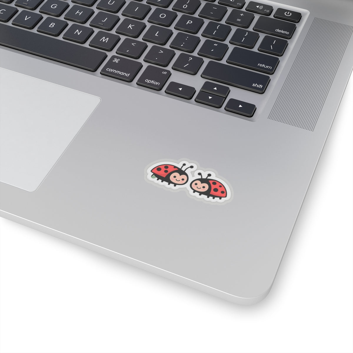 Cute Pair of Ladybugs Sticker | Kiss-Cut Sticker